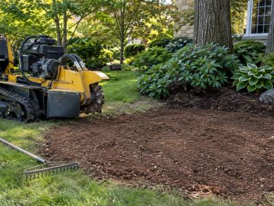 Grinding machine chewing through a wide stump in a backyard