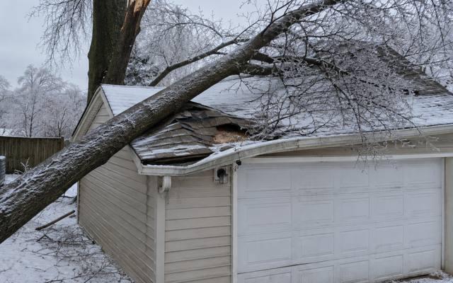 Snapped branches resting beside a garage after strong wind