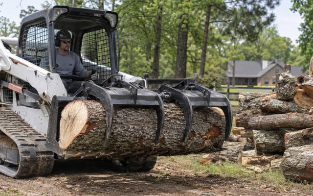 Crew taking down a large tree in sections beside a house